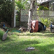 Picture 023